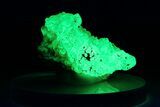Extremely Fluorescent Botryoidal Hyalite Opal - Nambia #283803-1